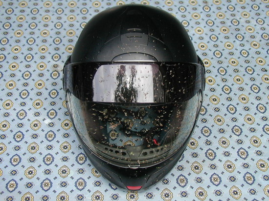 Helmet